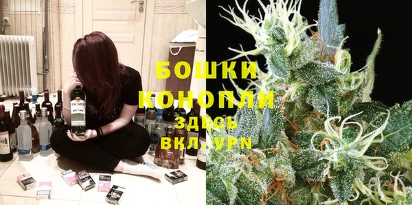 твердый Няндома