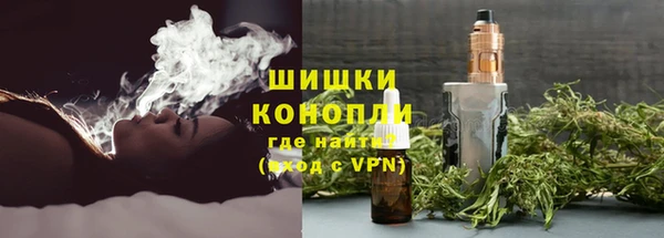 a pvp Аркадак